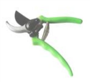 8.5 POUS SIZO JARDIN